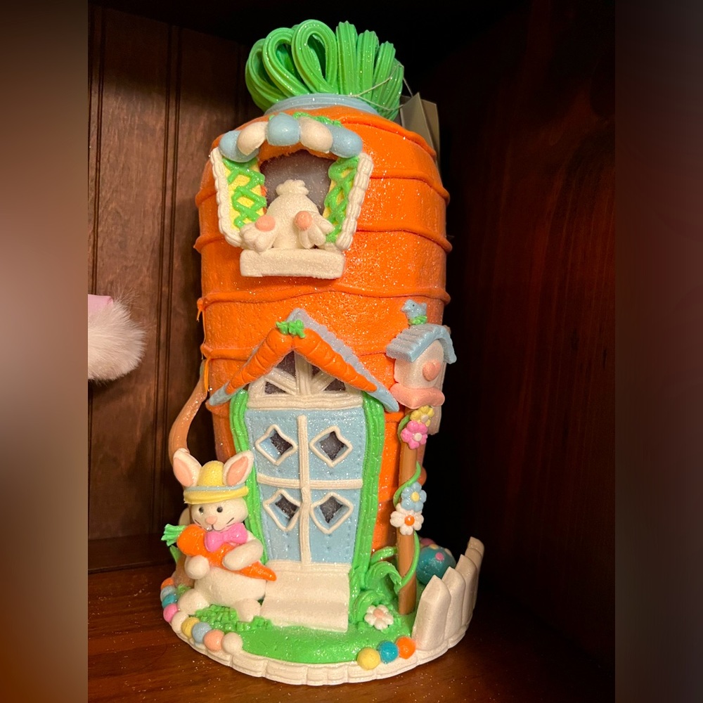 LED light up brand new Carrot Easter house